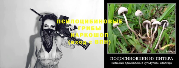 хмурый Барнаул